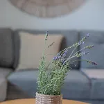 Apartamento Konstantinos Island View By Imagine Lefkada Nikiana